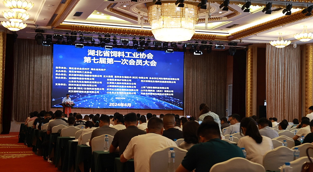 湖北省饲料工业协会领导在年会上发表讲话