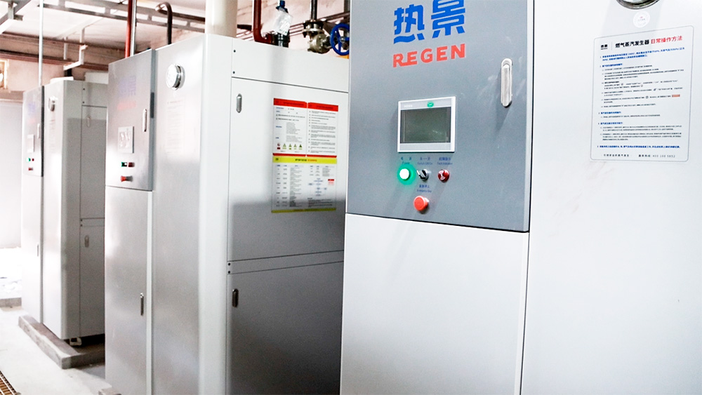 燃气蒸汽发生器 燃气蒸汽发生器