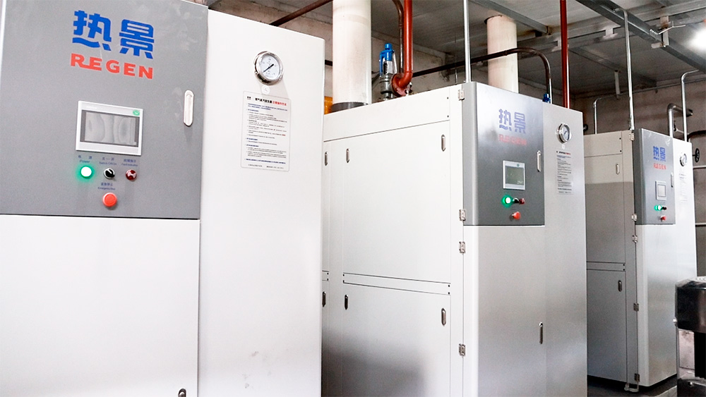 燃气蒸汽发生器 燃气蒸汽发生器