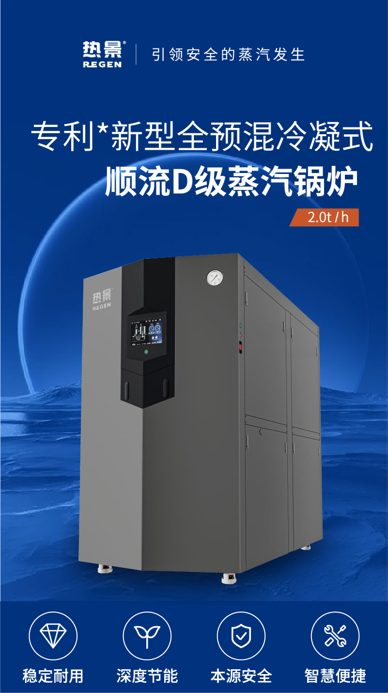 顺流蒸汽锅炉